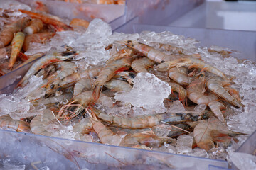 Large gray shrimp on a market stall, displayed on ice, ready for sale. The scene captures fresh seafood in a market setting with clear ice and vibrant colors.