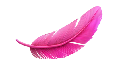 Pink feather 3D render icon isolated on white background