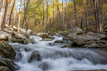 White Oak Canyon 2