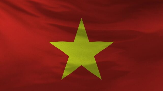 Vietnam Flag Animation 4K