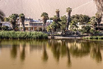 Pond in Huacachina oasis near Ica town, Peru