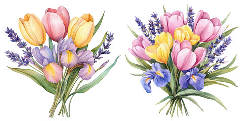 Watercolor Bouquet with Pink Tulips, Yellow Iris and Lavender, Hand-Painted Floral Botanical Design Isolated Set Flowers