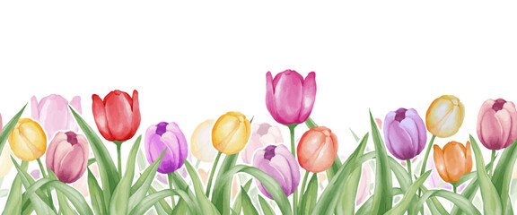 Watercolor tulip seamless border or frame or banner. Spring or summer theme flower banner with various color for invitation, card and decoration. Tulip illustration vector art.
