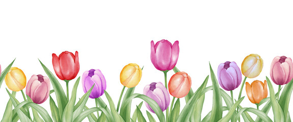 Watercolor tulip seamless border or frame or banner. Spring or summer theme flower banner with various color for invitation, card and decoration.