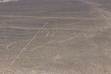 The Hands image of Nazca lines, Peru