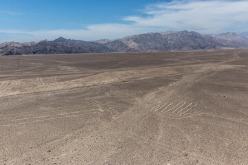 The Lizard image of Nazca lines, Peru