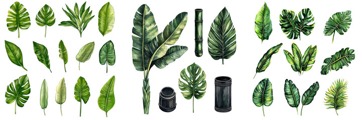 Palm Leaves Set, Watercolor Botanical Painting. Jungle Illustrations, Monstera and Banana Leaf. Tropical Green Plant
