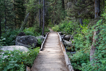 Obraz premium Grand Teton National Park