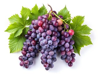 Fototapeta premium Juicy Purple Grapes with Green Leaves on a White Background