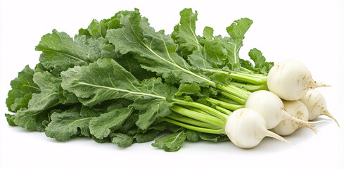 A bunch of fresh white turnips with vibrant green tops, isolated on a white background.