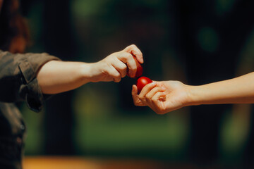 Hands of People Egg Tapping Celebrating Easter Holiday. Family member following traditional games during spring holidays
