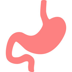 Fototapeta premium Human Organ Illustration