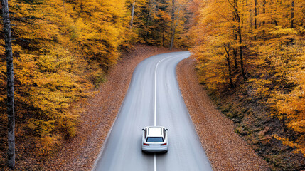 scenic autumn road with winding curves and lone car driving through vibrant foliage