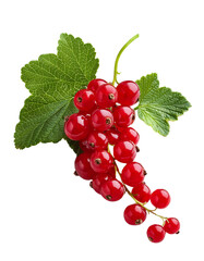 Fresh Red Currant: A close-up shot of a vibrant red currant branch, displaying a bunch of juicy berries and fresh green leaves, symbolizing health and natural goodness.