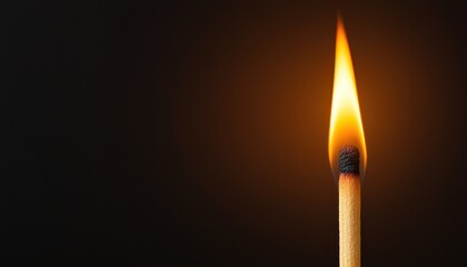 A lit matchstick flame against a dark background, symbolizing light in darkness.