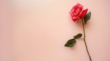 Fototapeta premium Labor Day Rose Background: Using Romantic Roses as a Medium to Write Praises for Workers and Chapters of Celebration