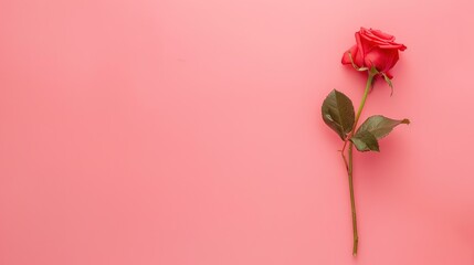 Obraz premium Labor Day Rose Background: Using Romantic Roses as a Medium to Write Praises for Workers and Chapters of Celebration