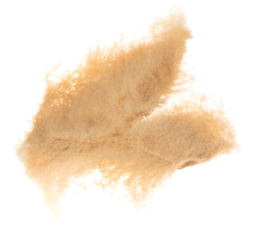 Small size fine Sand flying explosion, Golden grain wave explode. Abstract cloud fly. Yellow colored sand splash silica in Air. White background Isolated high speed shutter, throwing freeze shot