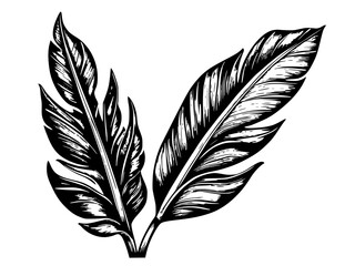 Obraz premium hand drawn illustration with leaf