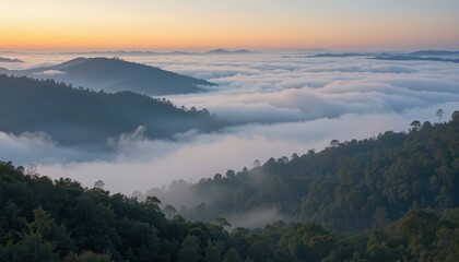 Fototapeta premium Serene Mountain Landscape with Fog at Sunrise Overrolling Hills