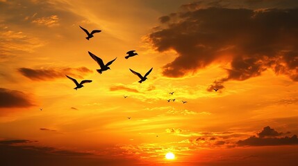 Obraz premium Birds Soaring Through a Golden Sunset Sky Silhouette