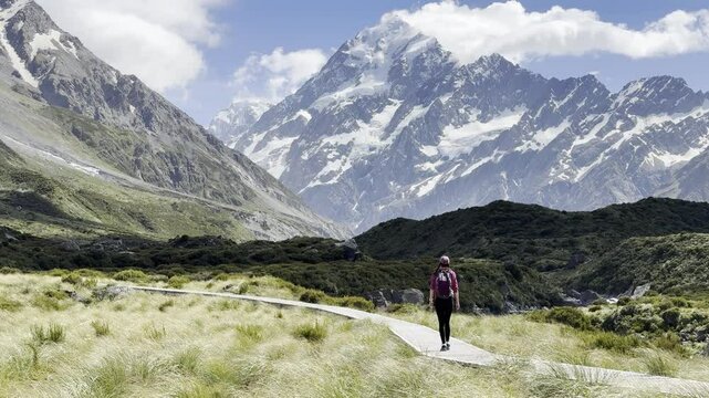 backpacker girl hikes on wooden boardwalk overlooking famous tall mount cook (aoraki) on hooker valley track in Mount cook national park south island New Zealand. ost popular trail on south island