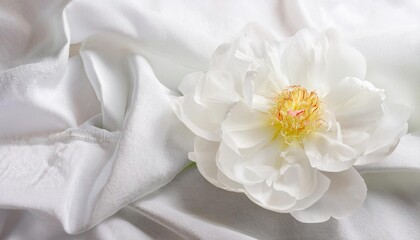 Obraz premium White Peony Flower on a Draped Soft White Silk Fabric
