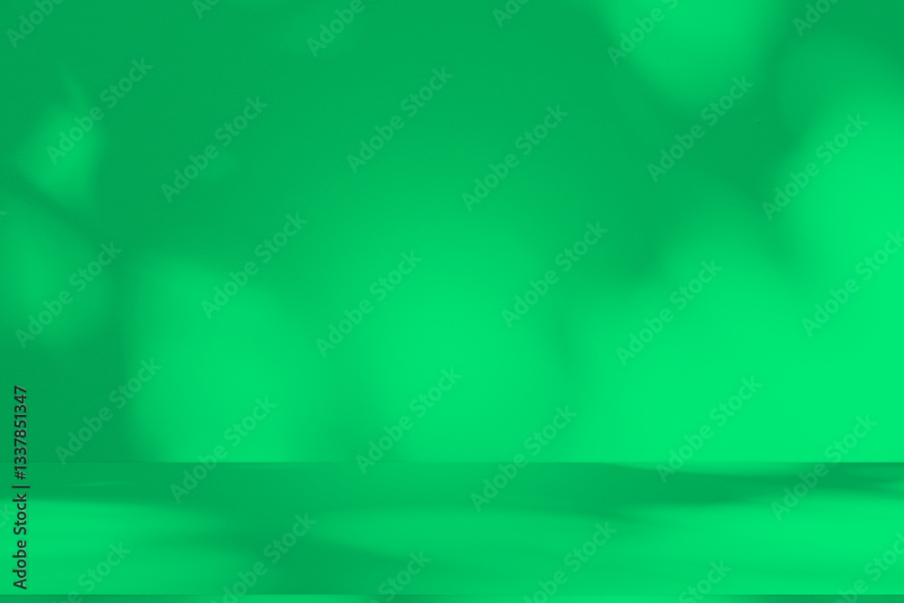 Poster wall interior background, studio and backdrops show products. with leaf shadow from window color gre