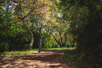 solo traveler in nature concept with asian man camping and sightseeing with pink cherry blossom tree in springtime season