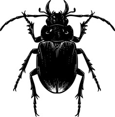 Fototapeta premium Black and white beetle cartoon, Beetle icon silhouette 