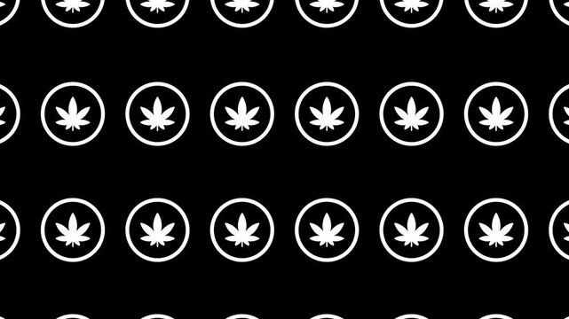 A seamless loop pattern of white cannabis leaves on a black background. The leaf icons smoothly and repeatedly change size and move up and down, symbolizing the cannabis culture