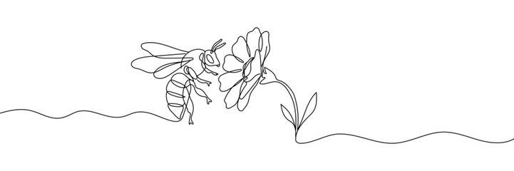 Continuous one line drawing of flaying bee and flower. Hand drawn Editable stroke vector illustration.