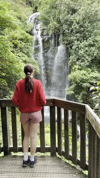 girl stands on wooden platform and admires a stunning Marokopa  Falls, Tawarau forest, Waitomo, Anga Road, North Island, New Zealand. Most picturesque and hidden waterfalls in NZ