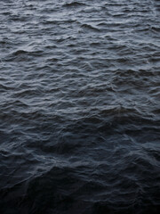 Fototapeta premium Dark water ripples create a mesmerizing pattern on the surface. The image captures the depth and texture of the water, showcasing its dynamic movement and tranquility.