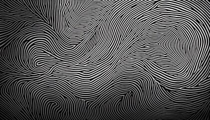 Fototapeta premium Abstract black and white wave squiggle doodle fingerprint style maze pattern 