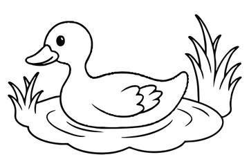 duck and ducklings
