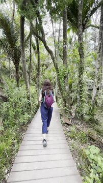 A girl with long hair wanders through a dense tropical rainforest with Nikau palms leading to the Kitekite falls near the city of Auckland, Piha, New Zealand. Most beautiful trails in North Island