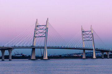 Cable-stayed bridge