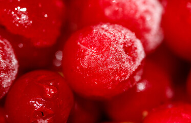 A close up of a bunch of red cherries with a frosty coating