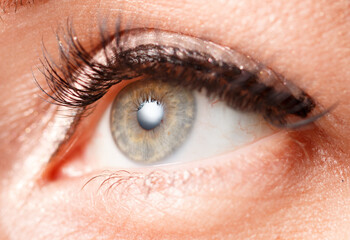 A woman's eye with eyelashes and a brown iris