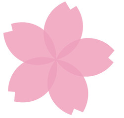 cherry blossoms, Petal