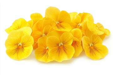 A striking yellow-orange blossom with intricate red veining and a green center, isolated on white, suitable for botanical and floral designs