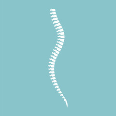 white spine diagnostic vector design