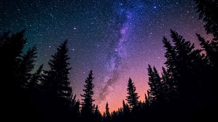 Fototapeta premium Majestic Milky Way over Silhouetted Coniferous Forest at Night