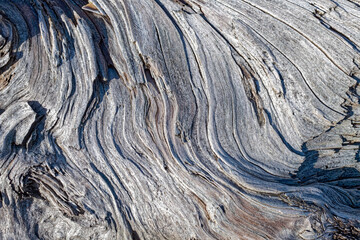 Details of the wavy texture of a piece of driftwood on the Pacific coast in Oregon, USA