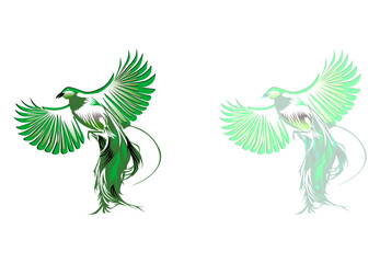 vector illustration of a bird