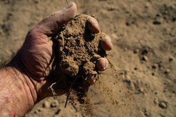 Soil in Farmers hand. Soil testing before planting. Healthy soil for farming. Preparing farmland for sowing. Hands covered in soil. Farmer hold ground composition. Groundwork for a harvest.