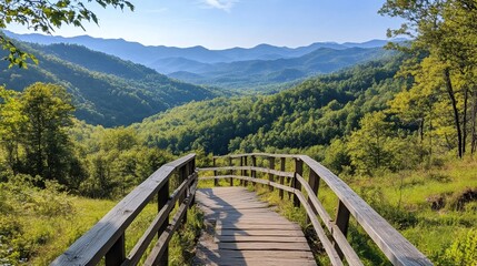 Fototapeta premium Wooden boardwalk leading to scenic overlook in the Blue Ridge Mountains