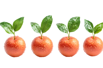 Orchard Delights: A Fresh Harvest of Juicy Apples with Lush Green Leaves, a visually appealing arrangement of freshly picked apples, each topped with vibrant green leaves.