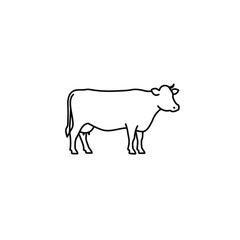 cow vector illustration